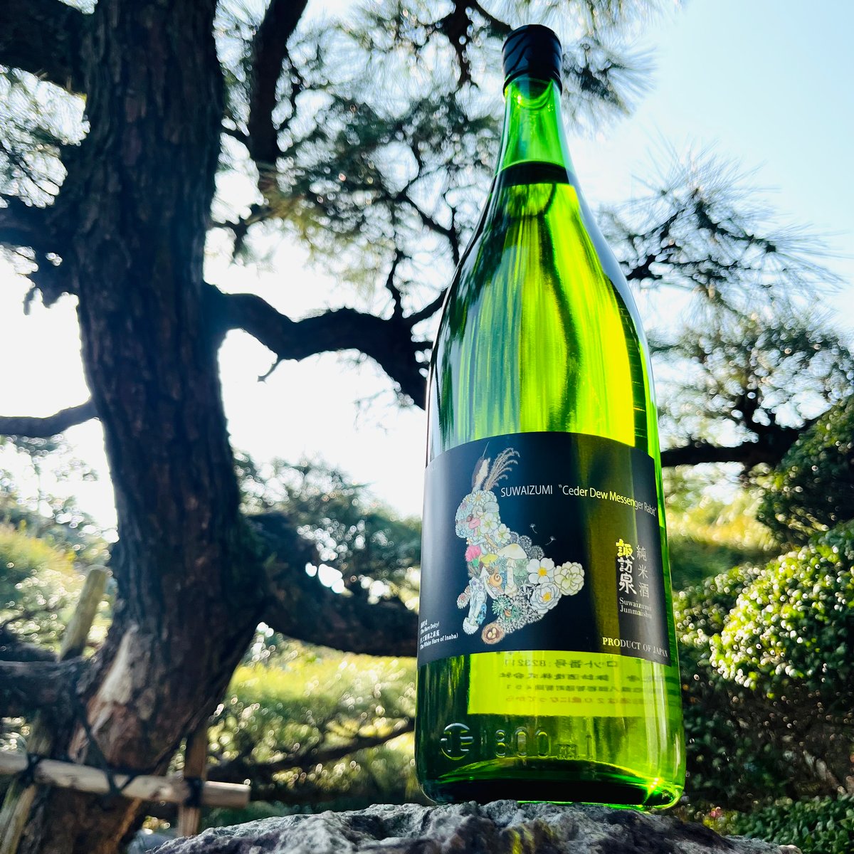 諏訪泉 純米酒 うさぎラベル 1800ml | コタニ酒店