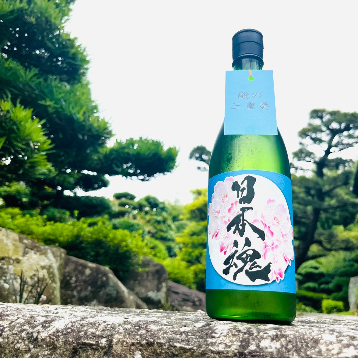 日本魂 純米無濾過生原酒 水酛スペシャルII R6BY 720ml | コタニ酒店