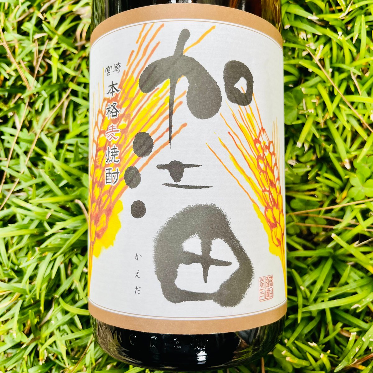 加江田・麦 1800ml | コタニ酒店