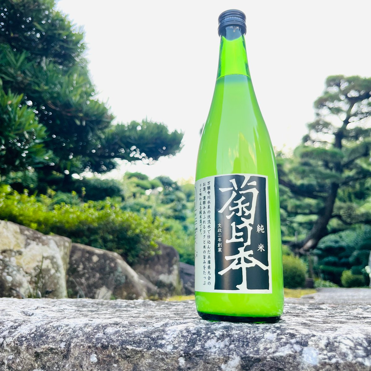 菊日本 純米酒 720ml | コタニ酒店