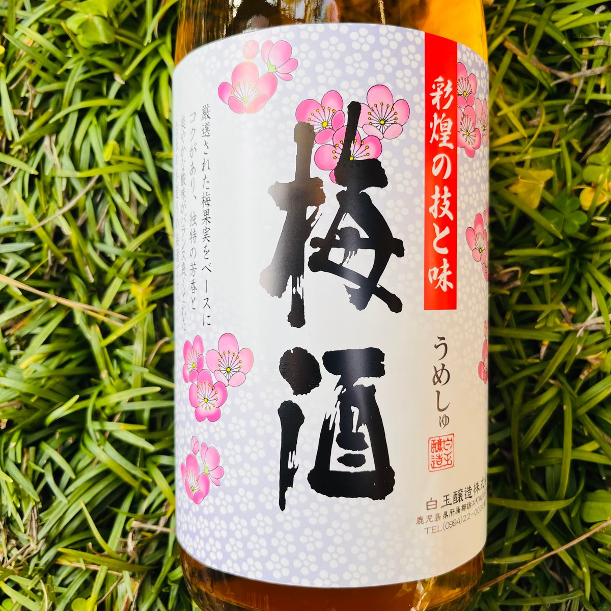さつまの梅酒 1800ml | コタニ酒店