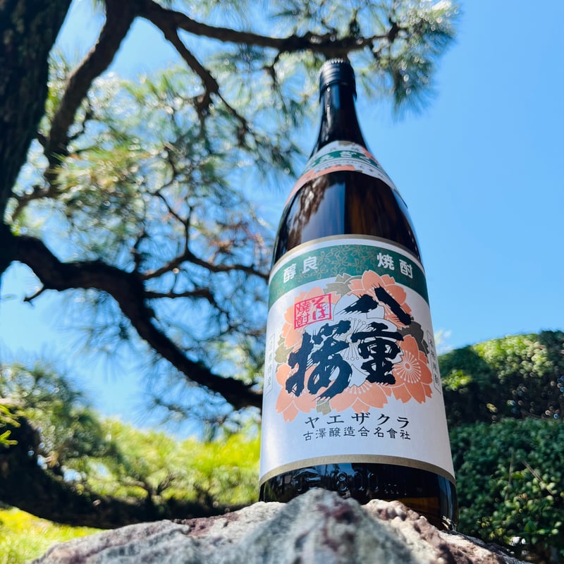 八重桜 楽天市場】八重桜 【松月】 1年生接木苗 【予約販売】12月〜翌年1月頃