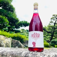 vin-shu no shinshu 2023 （通称 加西ワイン）750ml
