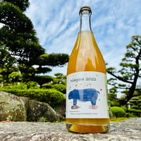 vin-shu no shinshu 2023 （通称 加西ワイン）750ml | コタニ酒店