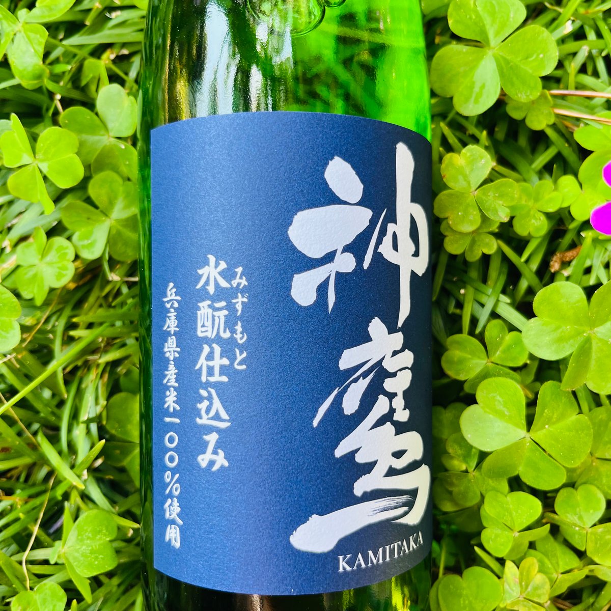 fit=scale-down,w=1200