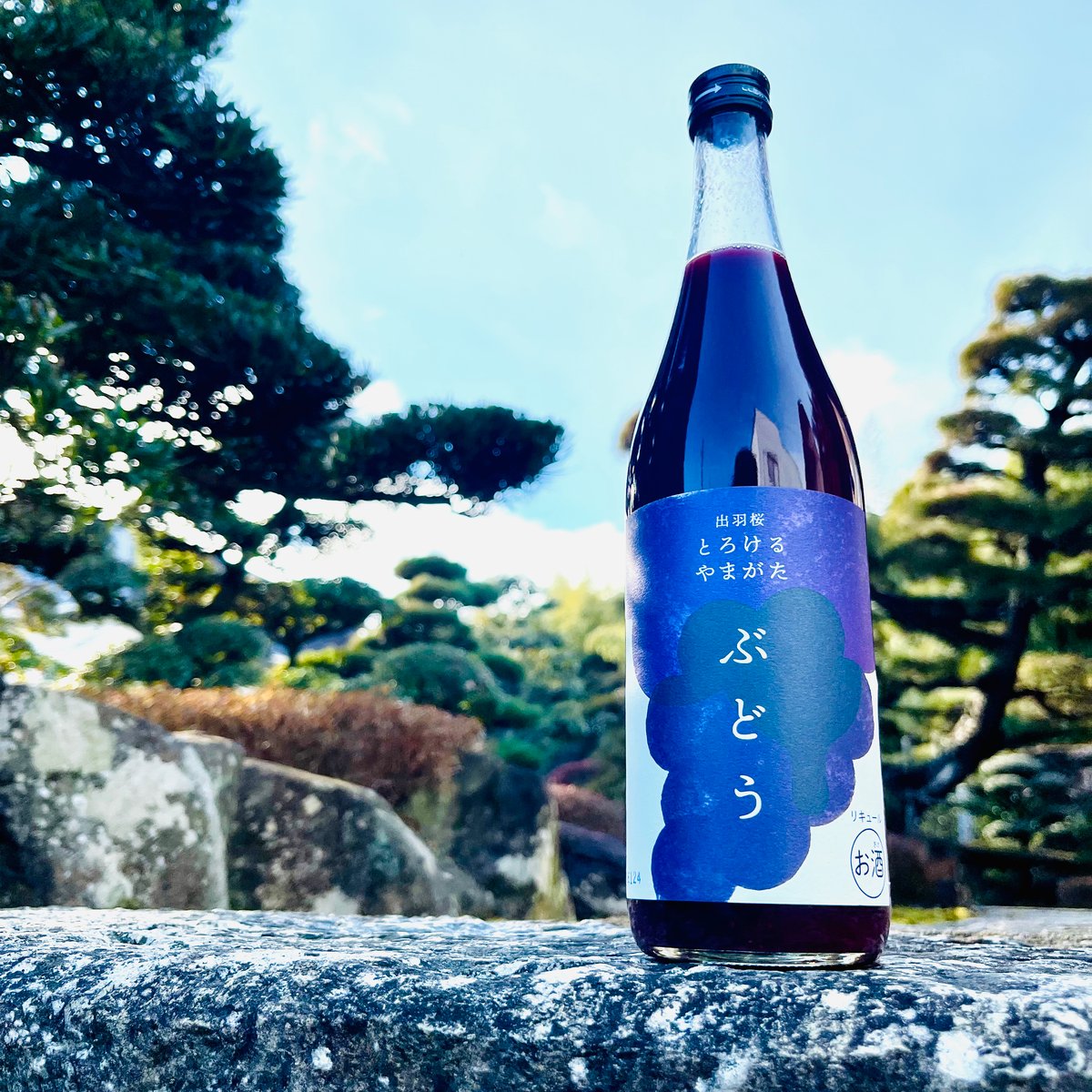 ぶーたんさん用【新品】TBC ファイヤーバーンドリンクEX_720mL 出羽桜 とろけるやまがた ぶどう 720ml | コタニ酒店
