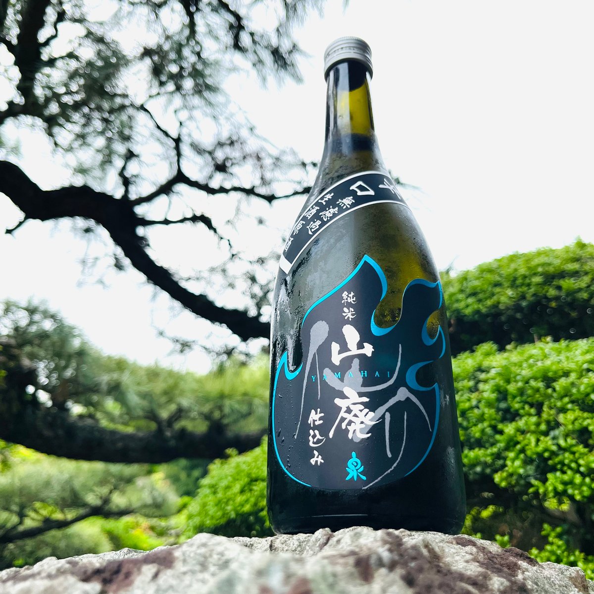 仙介 山廃辛口純米 無濾過生酒原酒 720ml | コタニ酒店