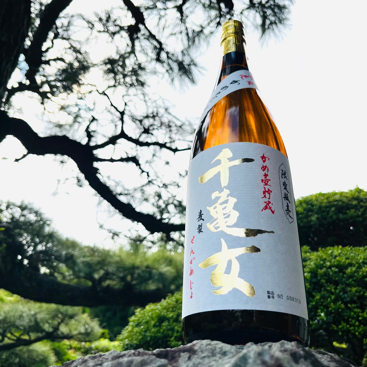 かめ壺仕込み 千亀女 （麦製）1800ml | コタニ酒店