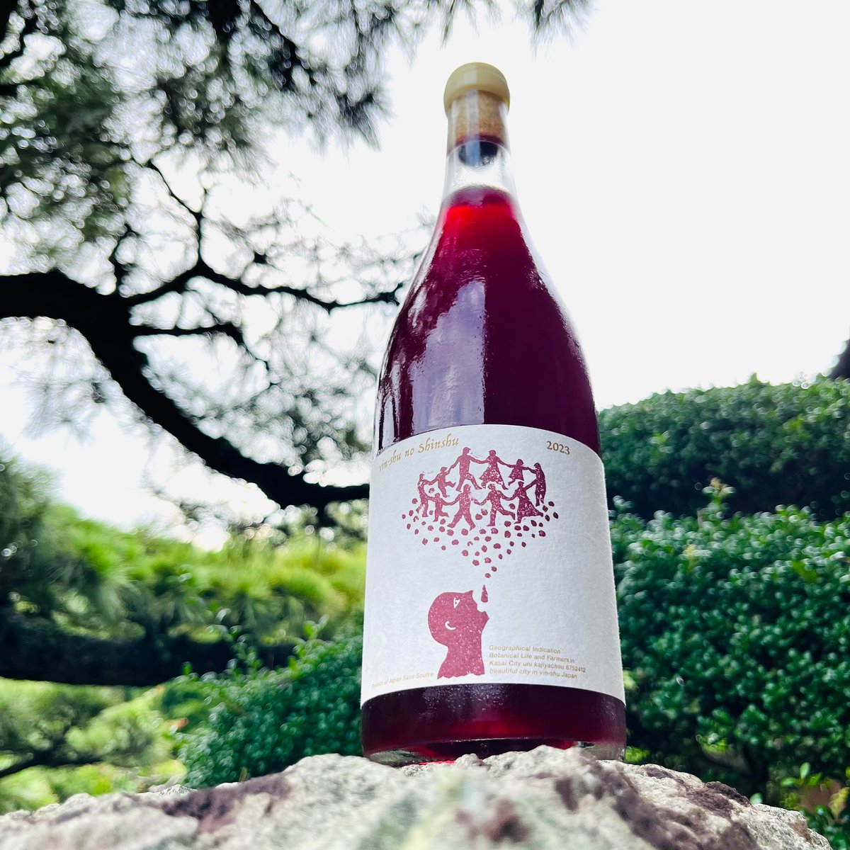 vin-shu no shinshu 2023 （通称 加西ワイン）750ml | コタニ酒店