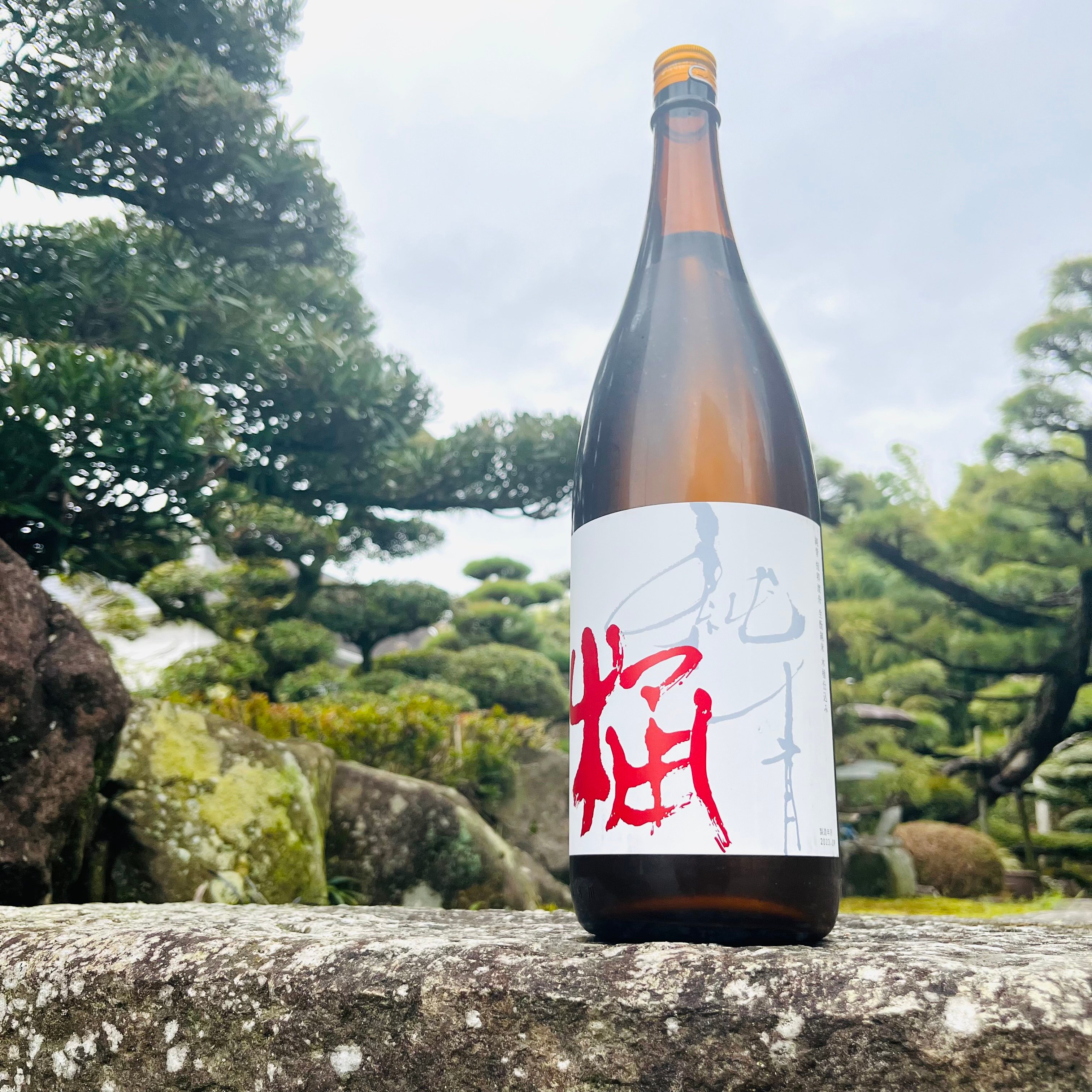 純青 短稈渡舟 生酛純米 木桶仕込み 1800ml | コタニ酒店