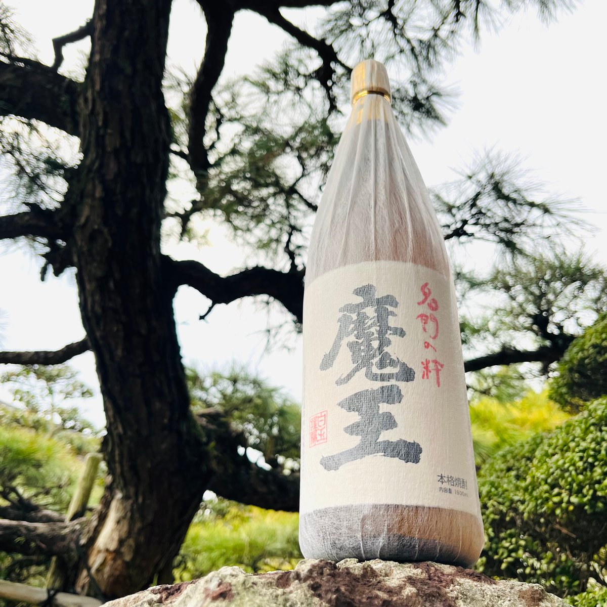 2024ラスト　魔王1800ml × 6本　その3 os-9999.jpg