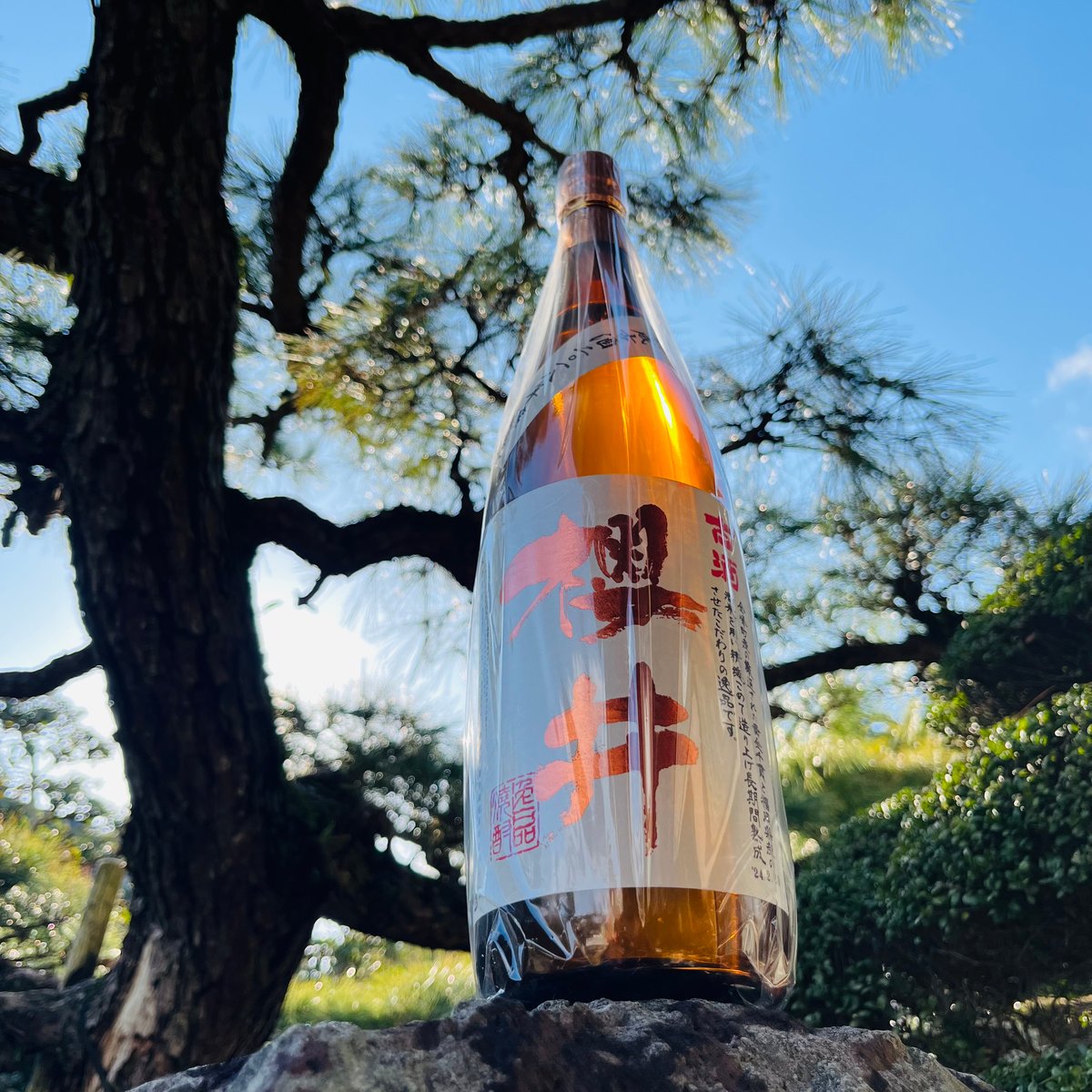 古酒 櫻井 1800ml | コタニ酒店