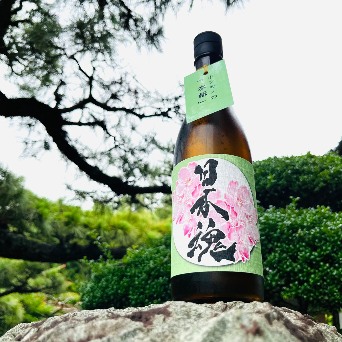 日本魂 純米無濾過生原酒 水酛仕込み 720ml | コタニ酒店