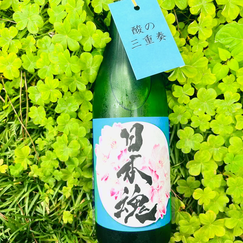 日本魂 純米無濾過生原酒 水酛スペシャルII R6BY 720ml | コタニ酒店