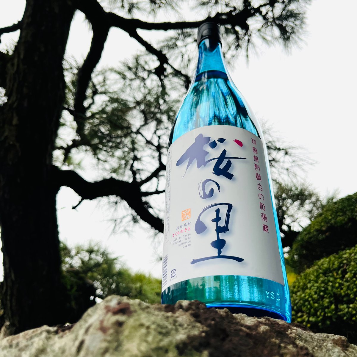 桜の里 ブルーボトル 1800ml | コタニ酒店
