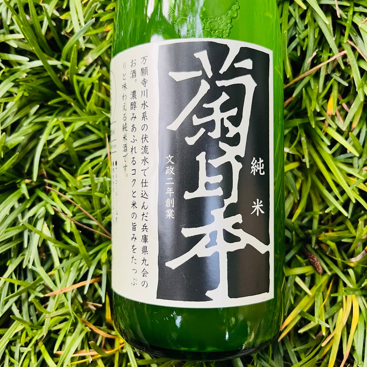 菊日本 純米酒 720ml | コタニ酒店