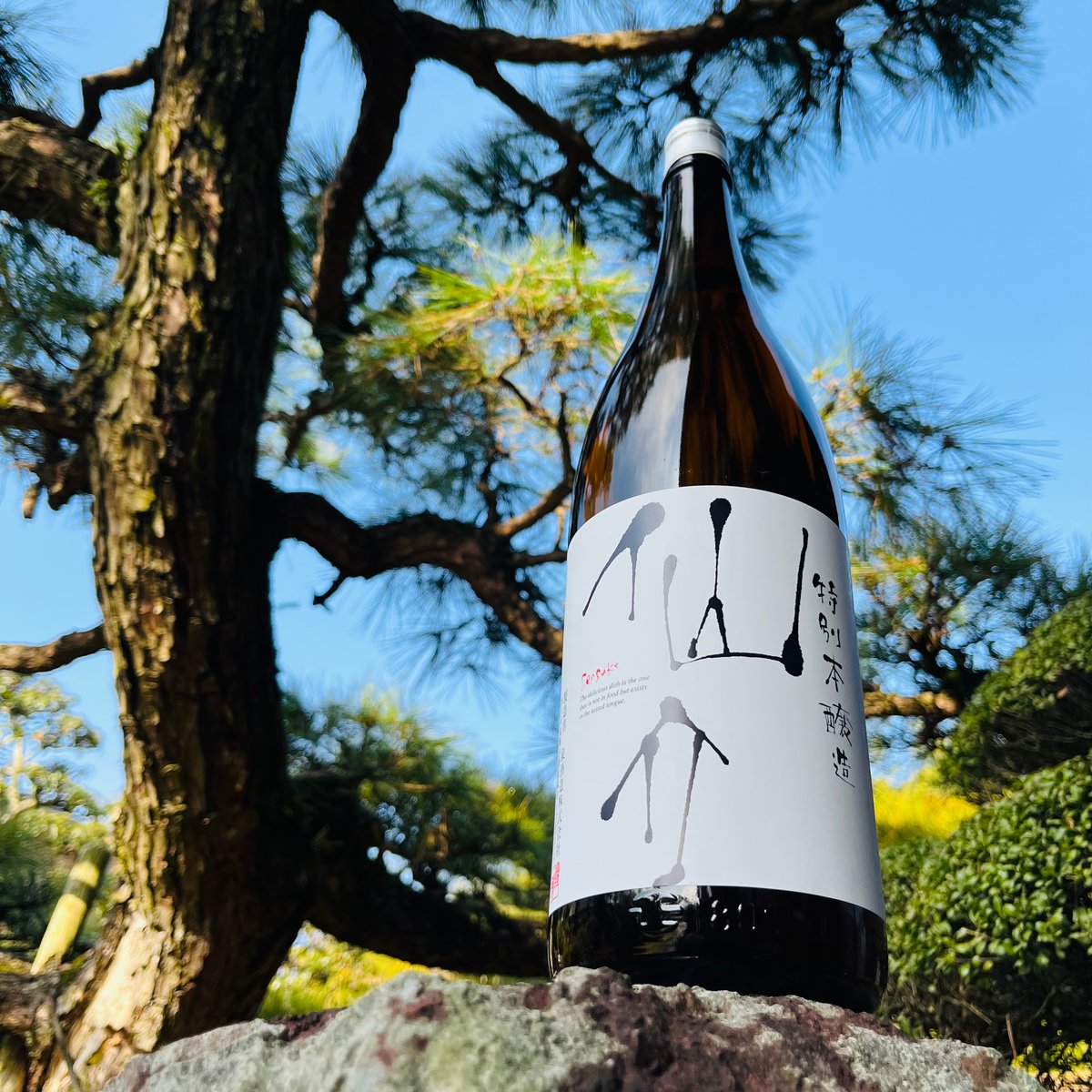 仙介 特別本醸造 1800ml | コタニ酒店
