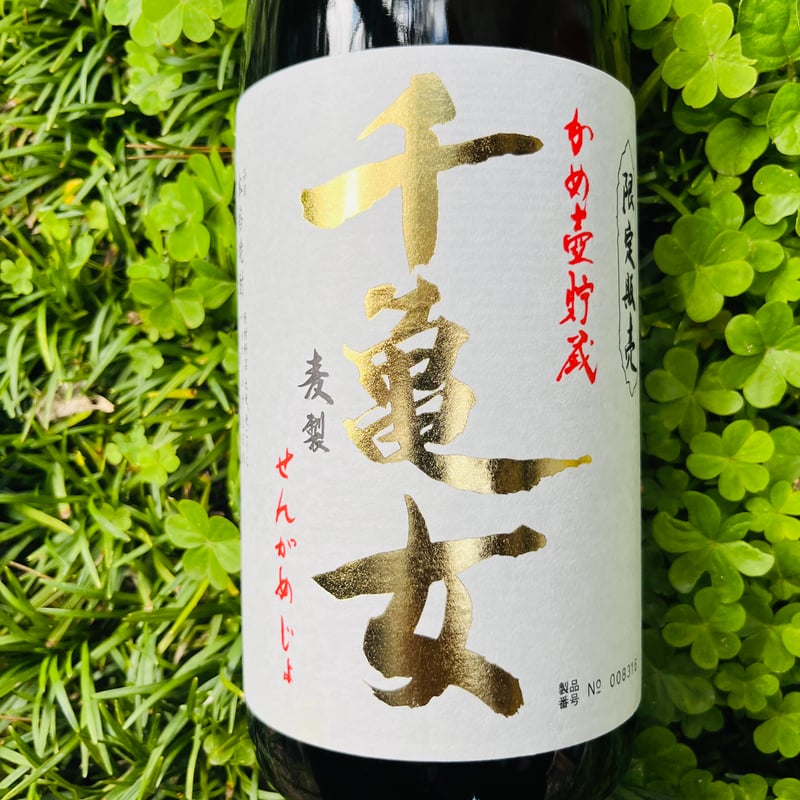 亀型壺 亀山 叩文壺 | 鶴田 純久の章 お話