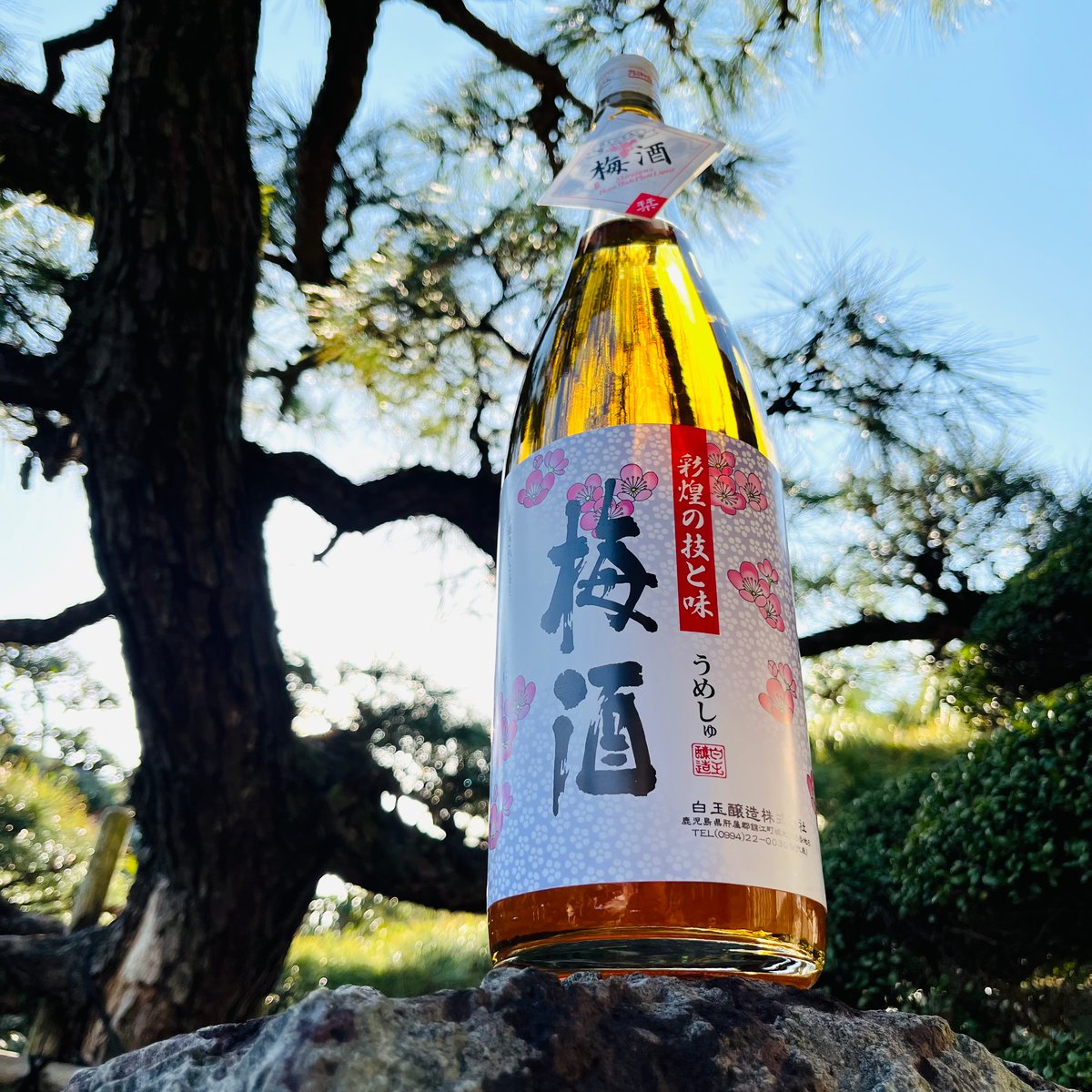 チ*読様 [送料込] さつまの梅酒 1800ml×6本 さつまの梅酒 1800ml | コタニ酒店