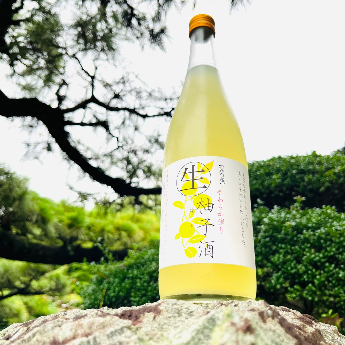 富久錦 やわらか搾り《生》柚子酒 720ml | コタニ酒店