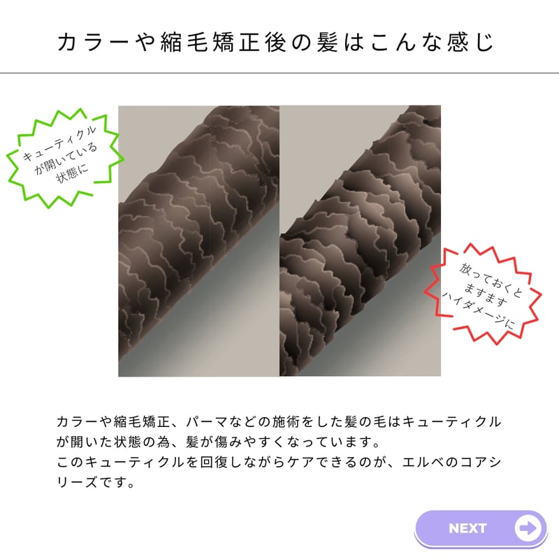☆人気No2☆エルベオリジナル】コアパック 300g【髪1本1本を急速に
