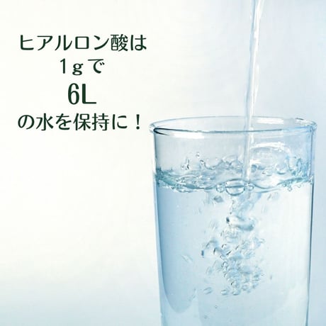 モイスチュアーエッセンス　ヒアルロン酸150ml