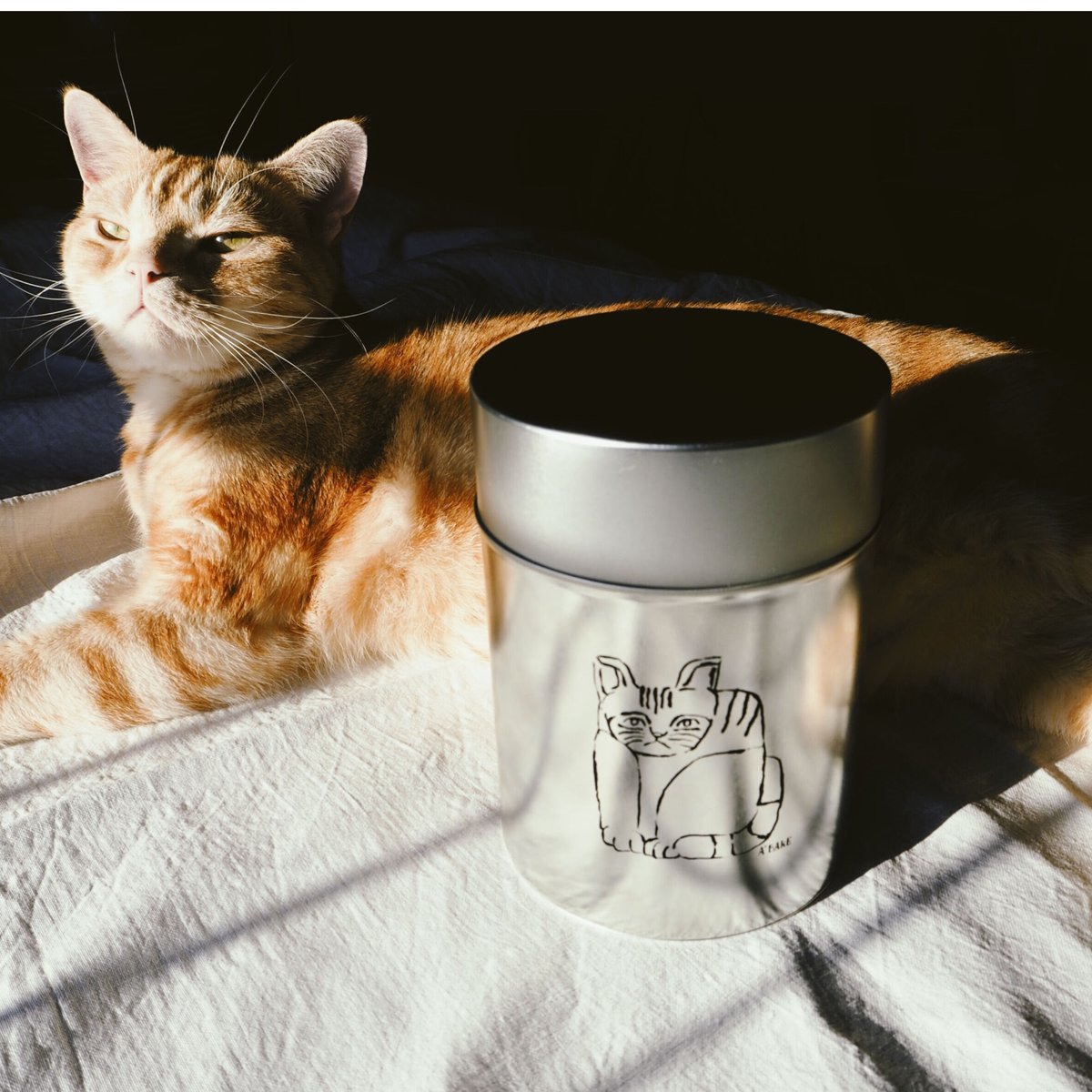tea canister【ねこの茶筒】 Boîte à thé pour chat / A'b