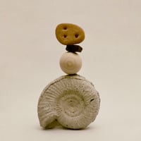 -A'bake – 隕石 – Meteorite Cookie – assort M box
