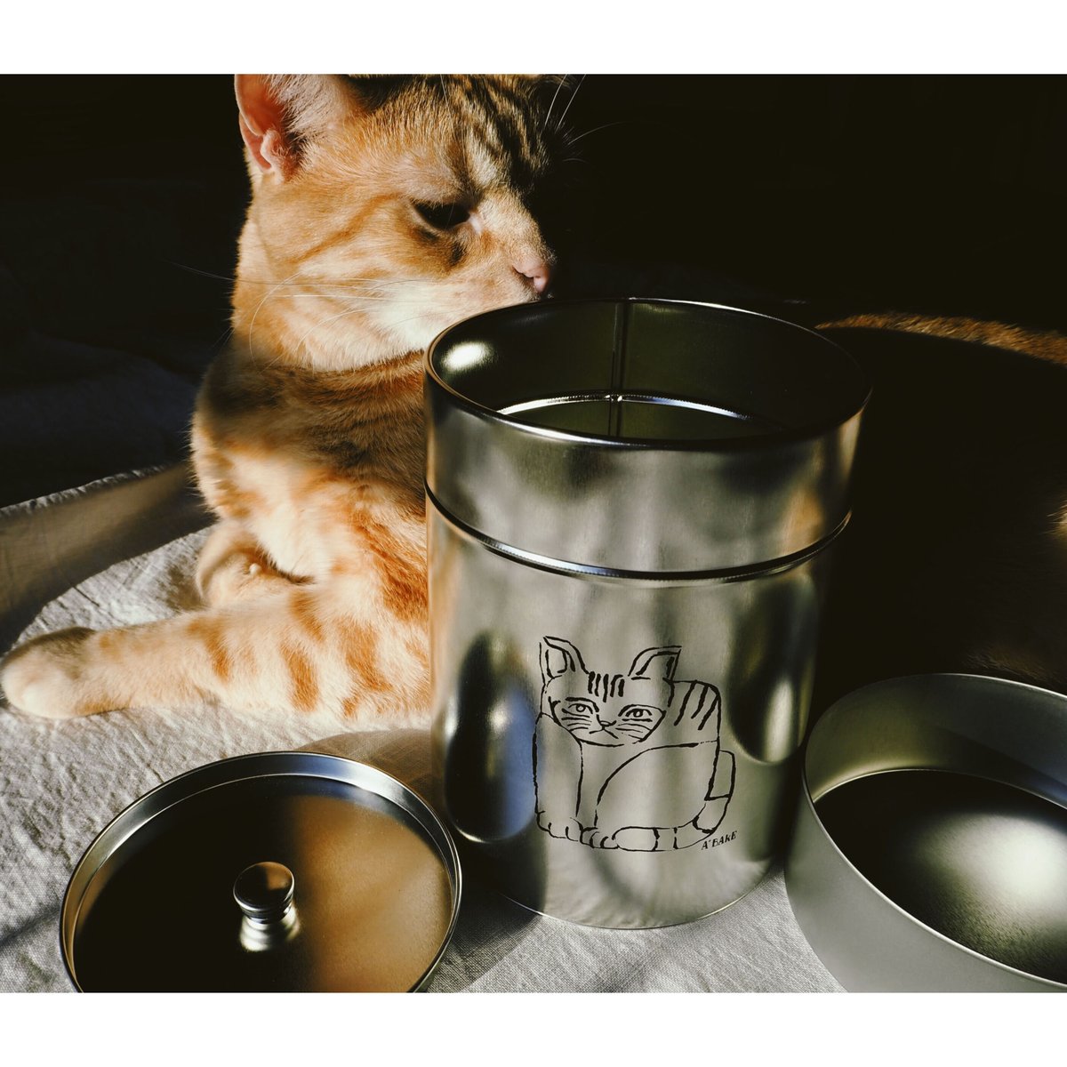 tea canister【ねこの茶筒】 Boîte à thé pour chat / A'b