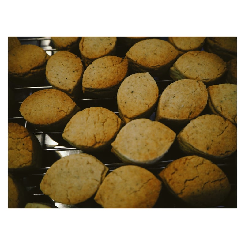 OH! PENELOPE / MILK & COOKIES / レア新品未使用 Oh! Penelope (オー!ペネロープ) - Milk & Cookies (Used LP