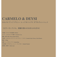 〈DARK・MILD〉CARMELO & DEYSI / CATUAI DOUBLE WASHED / BOLIVIA