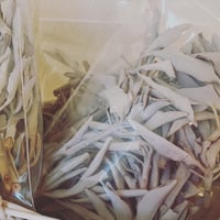 ホワイトセージ(30g)