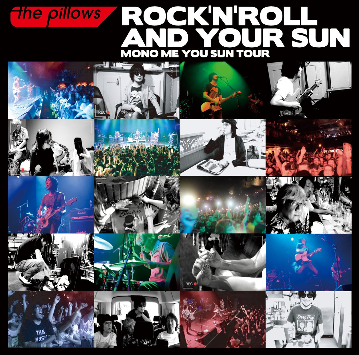 the pillows DVD「ROCK'N'ROLL AND YOUR SUN」 | BUS the pillows DVD「ROCK'N'ROLL AND YOUR SUN」 | BUS