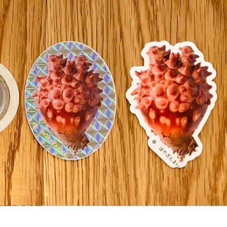 CATEGORY ほや・その他グッズ | ほ屋