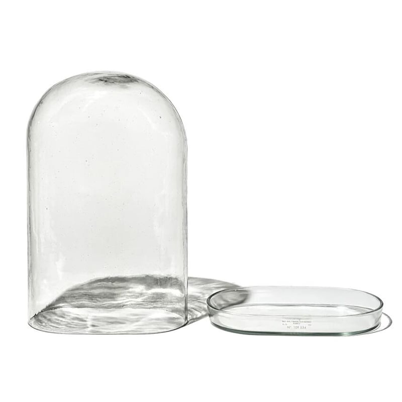 Display Glass Dome | STORAGE ROOM