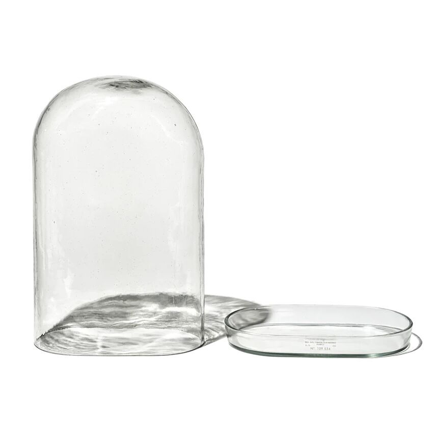 小物入れ DISPLAY GLASS DOME / PUEBCO DISPLAY GLASS DOME – PUEBCO ONLINE MARKET