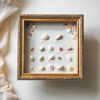 Sea specimen 結婚証明書