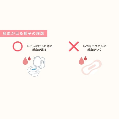 待望の「月のリズムと女性の身体」動画講座