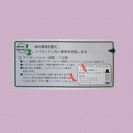アロマクレンズセット（３週間デトックスプログラム、フォロー付き）