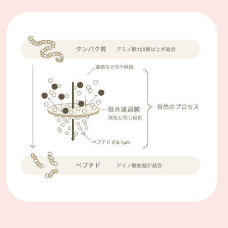 赤ちゃんとママが一緒に摂れる出汁〜カラダがよろこぶ出汁　500g