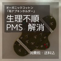 オーガニックコットン布ナプキン　レギュラータイプ（透湿防水布入り）ヘナ染め２枚セット