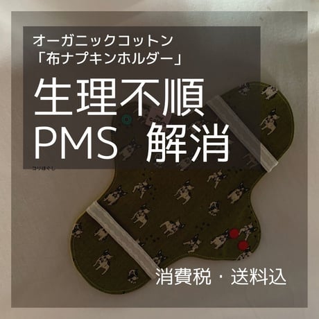 オーガニックコットン布ナプキン　レギュラータイプ（透湿防水布入り）ヘナ染め２枚セット