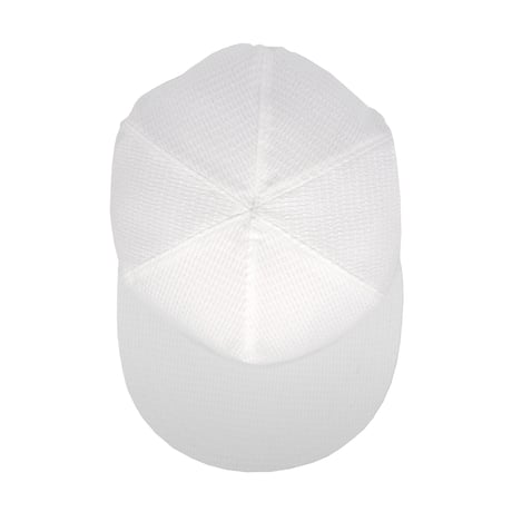 FOUND FEATHER - 2 Panel Trucker Cap - Dot Air