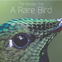 CD 「A Rare Bird』Aeolian Trio