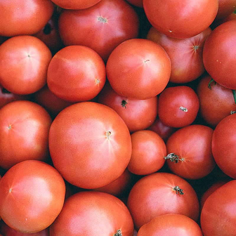 黒川堆肥で育てた