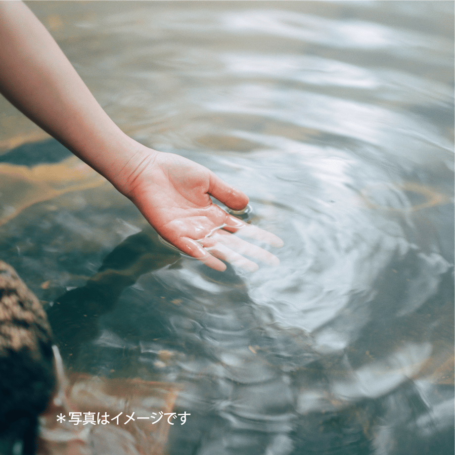 5ea53722cee9ea31bf19b288
