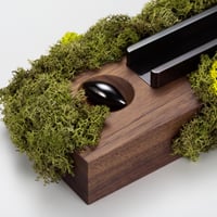 SPINDLE featuring Sakamoto / Moss series