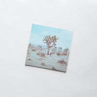 LUCA & There is a fox / Dancers ※CD