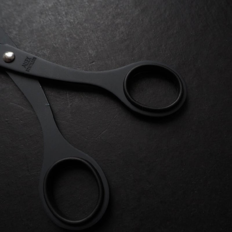 ALLEX(アレックス) S-165F 事務用はさみ | BROWN and ordinary.