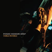 VISIBLE/INVISIBLE / RYOSUKE HASHIZUME GROUP (2013)
